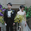 shibaweddingさんのアイコン画像