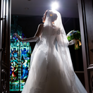 aya_tori_mcさんのアイコン画像