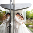 y___.weddingさんのアイコン画像