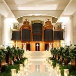 ベルヴィ ヒルズ マーキュリー