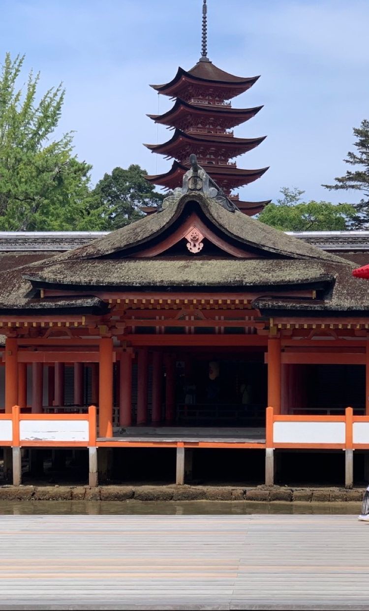 さゆりさんの花嫁レポート ウェディングニュースブライズ