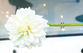 【ダリア×和】をテーマに和婚を鮮やかに演出してみませんか？のアイキャッチ画像