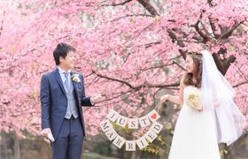 まだ土日空きあり♡10万円で叶う《2017桜前撮り》ドレスdeロケフォトしない＊*？のアイキャッチ画像