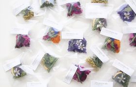 お洒落プチギフト発見♡@shirakabalabのハーブティーが使えそう*のアイキャッチ画像