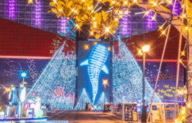 大阪でプロポーズするならココ！【シチュエーション＆季節別】外さないプロポーズスポット10選　のアイキャッチ画像