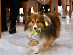 __sy87__さんの画像2枚目