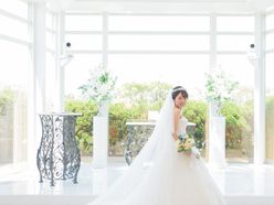 pomupomulandさんの画像3枚目