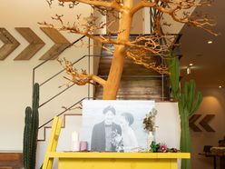 taotan555さんの画像1枚目