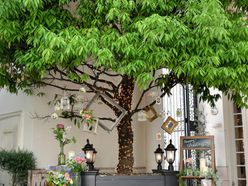 saya20190526さんの画像2枚目