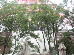 mee_wedding_hさんの画像2枚目