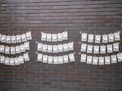 t.y_miaviaさんの画像2枚目