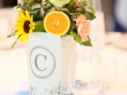 alpacassodxさんの画像2枚目