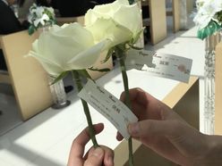 lisbrancさんの画像2枚目