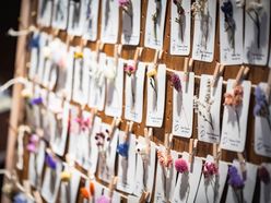 natsu.masa0604さんの画像2枚目