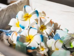 na___wd0503さんの画像2枚目