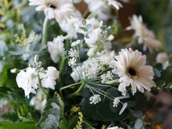 みーこさんの画像3枚目