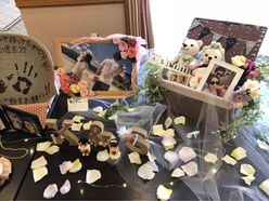 knsk.weddingさんの画像2枚目