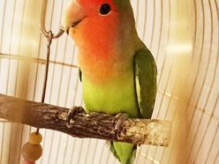 87_mykさんの画像2枚目