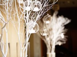 palace_autumn_iyさんの画像2枚目