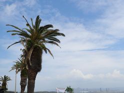 y_s_k___93さんの画像2枚目