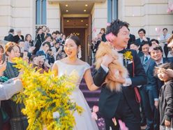 sugiura_koharuさんの画像1枚目