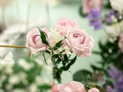 aichaaaan777さんの画像2枚目