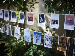 sumika_skさんの画像2枚目