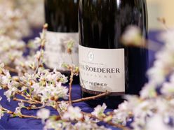 ta_____wdさんの画像2枚目