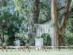 poniさんの画像1枚目