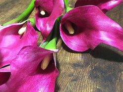 tm0526kbさんの画像2枚目