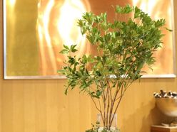 kaoooopiさんの画像3枚目