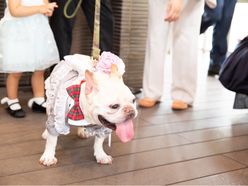 pinktonkotsu0さんの画像2枚目