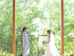 haru_wd_0902さんの画像1枚目