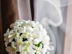 hanakikkoさんの画像3枚目