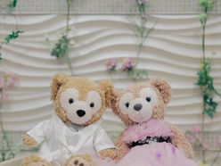 kandm2020321さんの画像2枚目