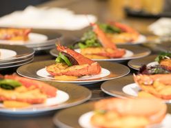 shibainushibachanさんの画像2枚目