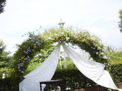 yuri_831さんの画像2枚目