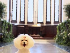 chiii_0713さんの画像2枚目