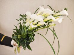 38kaさんの画像3枚目