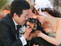 ariaさんの画像2枚目