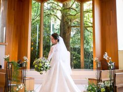 wd_gmhrck15さんの画像2枚目