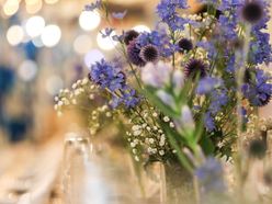 ame_tsubukoさんの画像3枚目