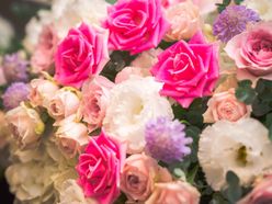 Tomoemiさんの画像3枚目