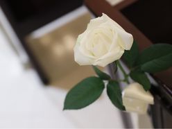 Saki さんの画像3枚目