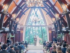 ___mayazouさんの画像1枚目