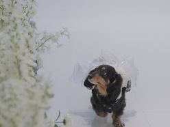 non_suzukiiさんの画像2枚目