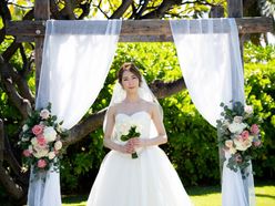 rocom5さんの画像3枚目