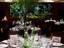 ayayayan_mさんの画像3枚目