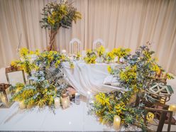 sugiura_koharuさんの画像3枚目