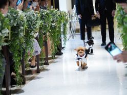 f.haru0603さんの画像2枚目